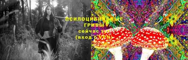 jwh Богородицк